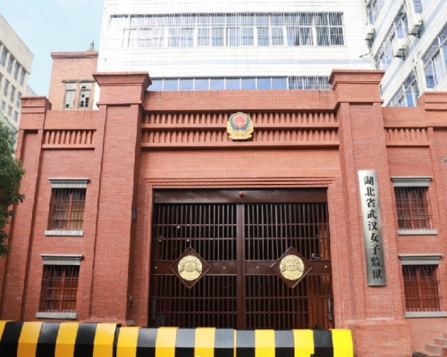 女釋囚突破武漢封城返京。網圖