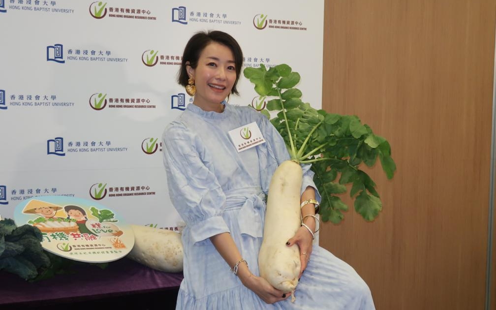 張新悅將復出唱歌坦言興奮。