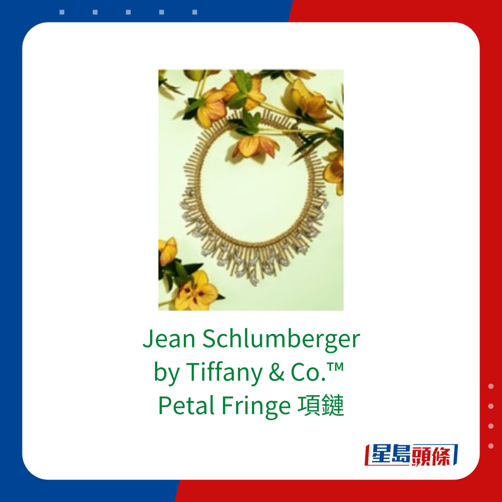 Jean Schlumberger by Tiffany & Co.™ Petal Fringe 18k 黄金及铂金镶逾6克拉钻石项链
