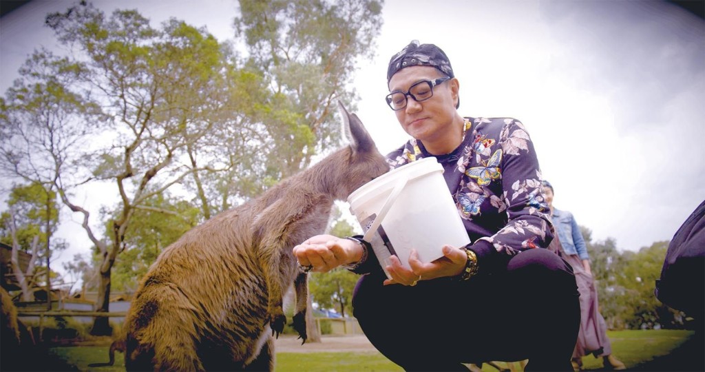 澳洲袋鼠是屬於南半球的子水，更為矜貴，多親近袋鼠有助五行水的吸納。 