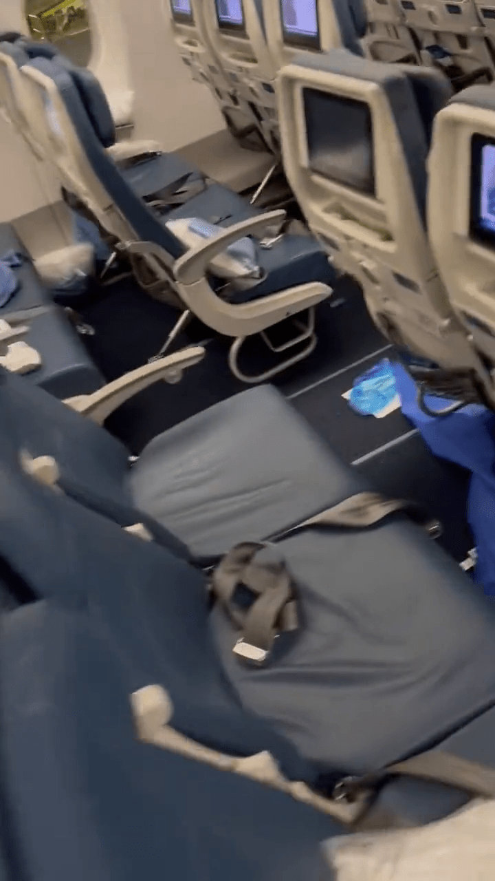 有网民在twitter上发布达美航空客机走廊上满布粪便。