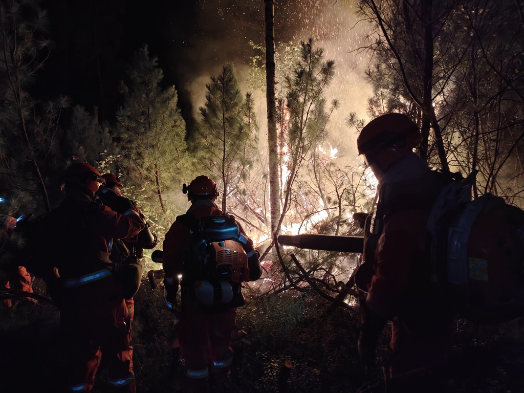 大兴安岭火灾，森林消防员在火场扑灭火。　中新社