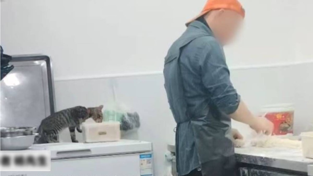 湖北有食店用被貓咪啃吃過的肉餡製作包子，被質疑不衞生。新京報
