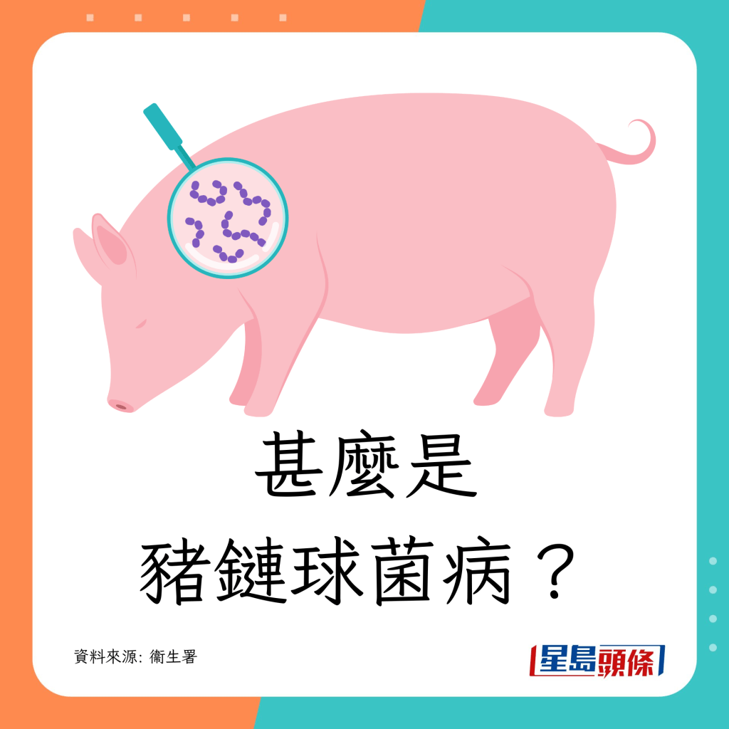 甚麼是豬鏈球菌病