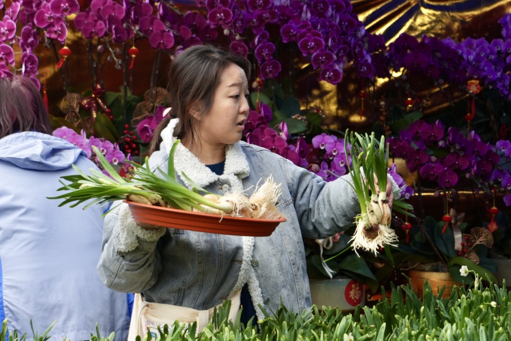 维园年宵市场共设395个摊位，售卖乾货、湿货及小食。刘骏轩摄