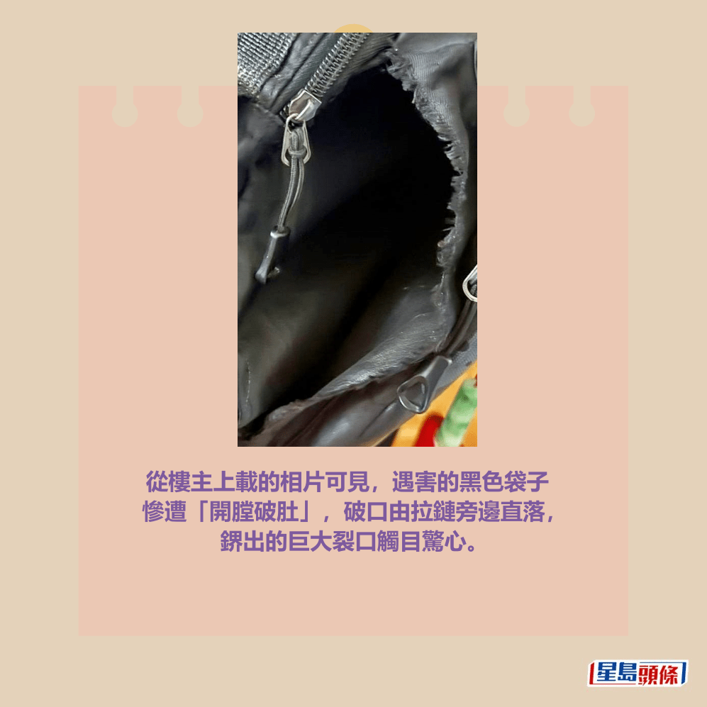 facebook截圖（資料來源：GenuinePelican5393＠facebook）