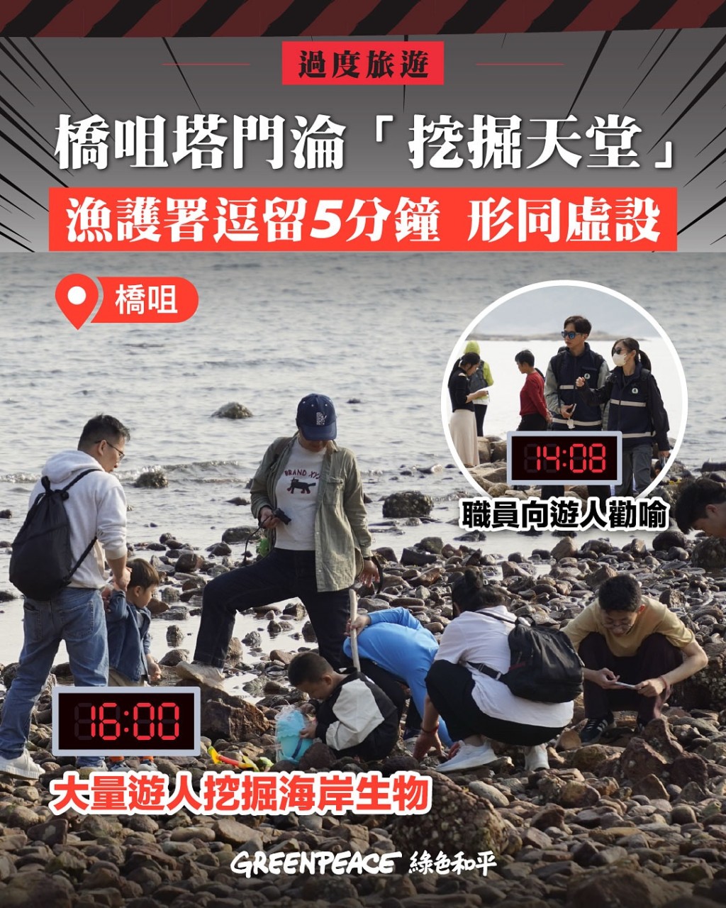 綠色和平團隊上周末前往橋咀考察，發現連島沙洲有大量遊人挖掘海岸生物。綠色和平fb圖片