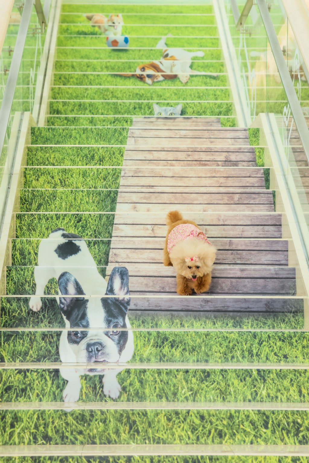 山頂廣場食玩買攻略｜藝術階梯：仔細看看木梯上有隻可愛小貓蓄勢待發，像要捕捉獵物，像真情景讓你及毛孩仿佛置身寵物樂園。
