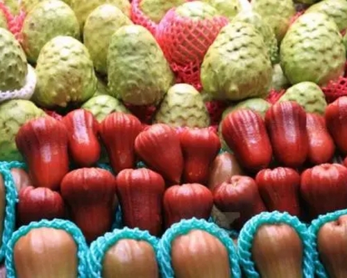 台灣在世貿會議指大陸禁水果入口缺科學依據。 中方稱有害蟲。