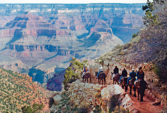 ●大峽谷國家公園分屬世界自然遺產。