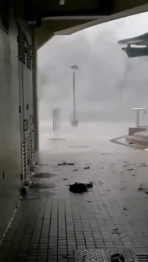 颱風杜蘇芮晉江沿海登陸情況。