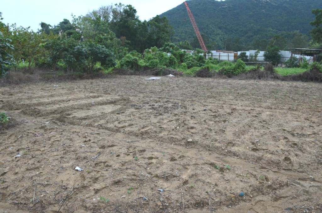 沙頭角上麻雀嶺村2隻狗被捕獸器夾傷。