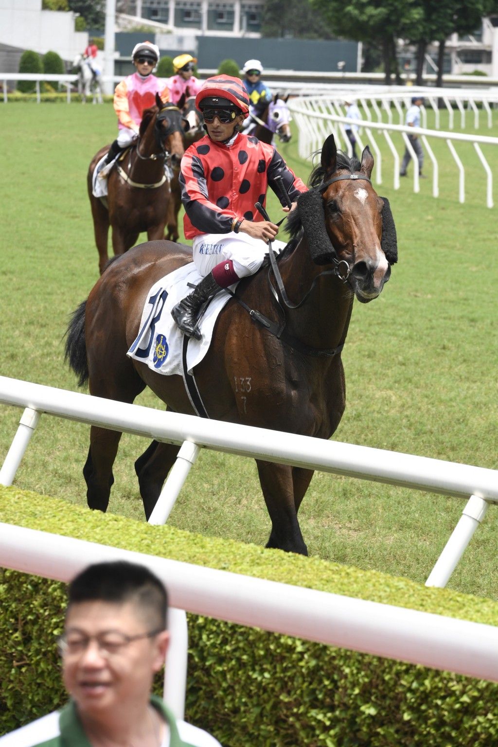 田泰安認為「喜愛善」有條件收復前失，贏出在港首場頭馬。