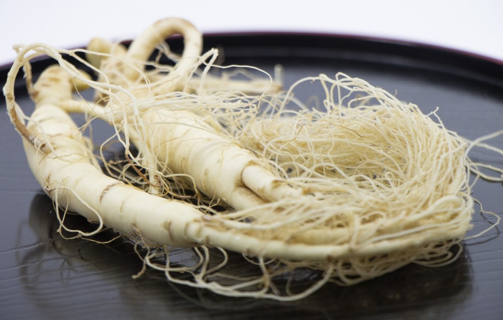 人參有補陽氣之效