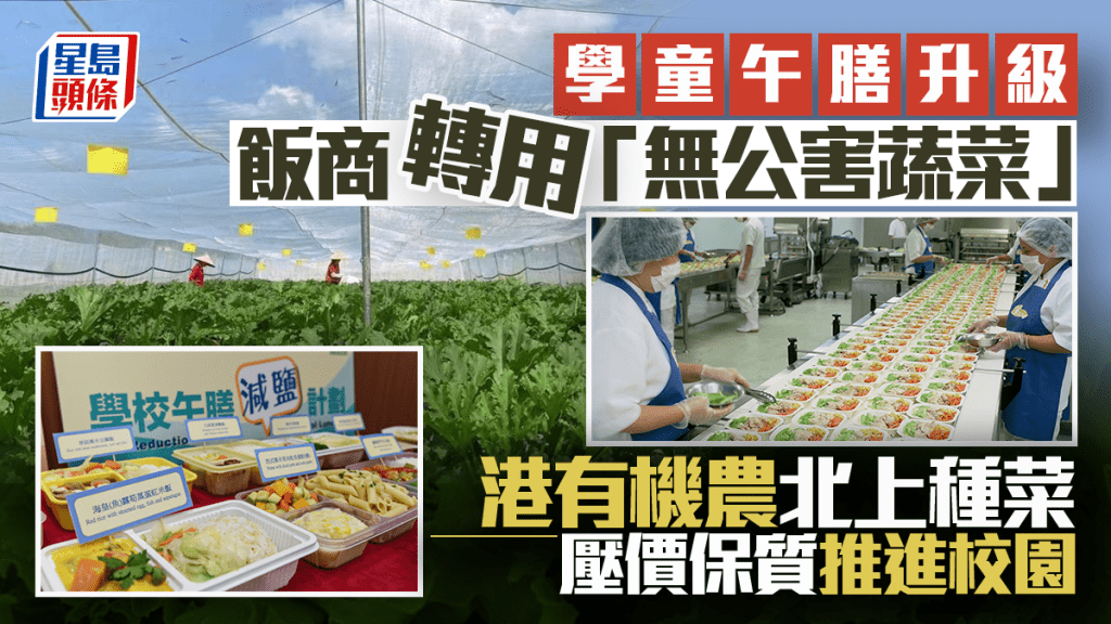 每日雜誌|學童午膳升級 飯商轉用「無公害蔬菜」 港有機農北上種菜 壓價保質推進校園