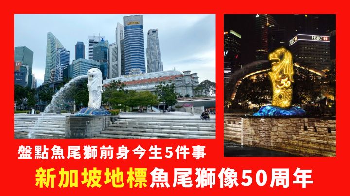 新加坡魚尾獅像今日歡慶50周年。