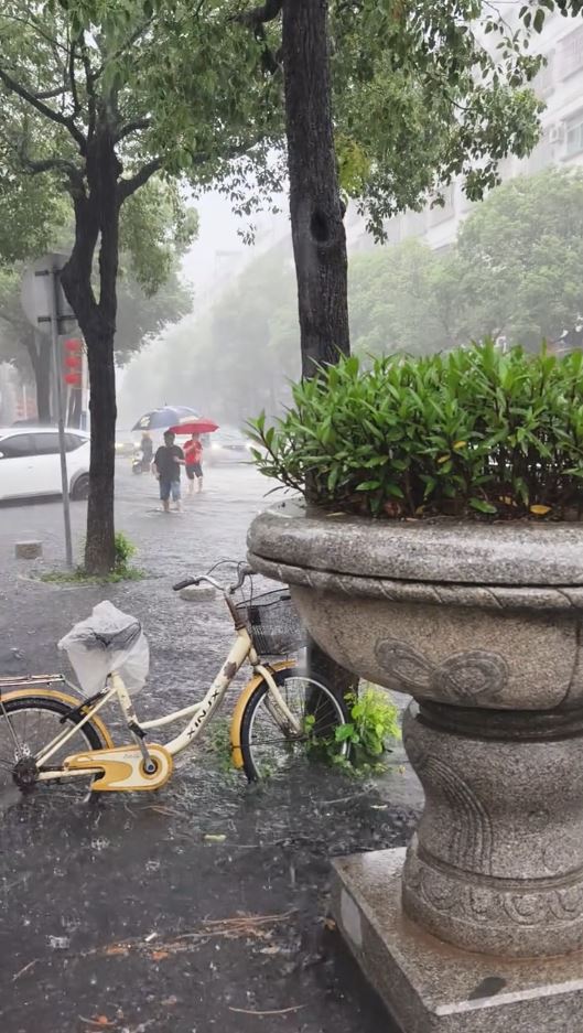 中山連日有暴雨，多處出現嚴重水浸。抖音＠一七五嚴選