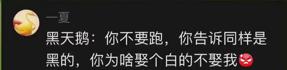 網民留言。 網民留言。