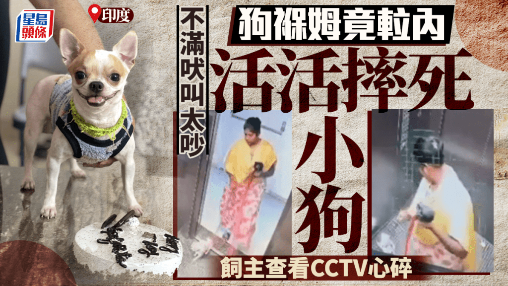 狗褓姆在電梯內虐殺小狗Goosi。