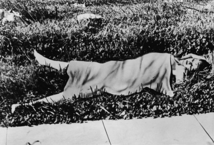 「黑色大理花」（Black Dahlia）伊莉莎白．蕭特（Elizabeth Short）死狀詭異。
