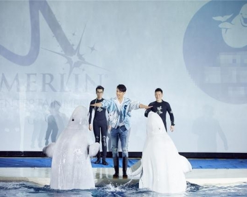 作为默林中国首位「海洋守护大使」，吴尊积极呼吁各界给予海洋和海洋生物更多关爱。(网图)