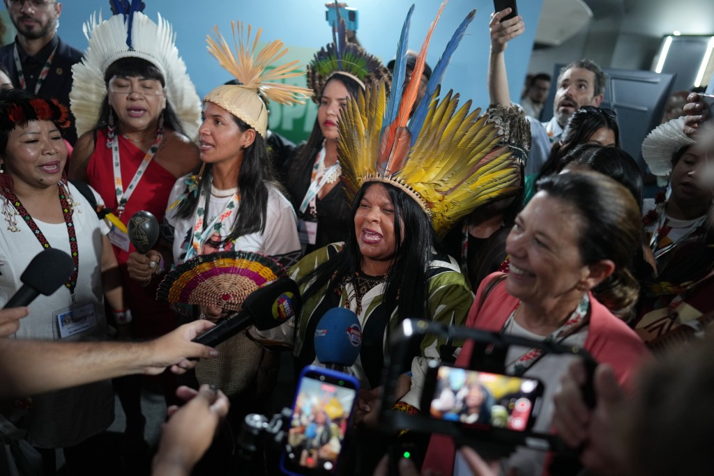 原住民团体抗议政府持续开发森林。美联社