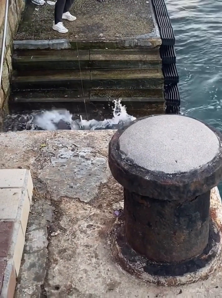 facebook截圖（資料來源：Ken Yu＠facebook筲箕灣西灣河關注組）