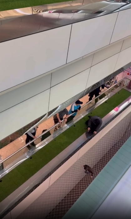 7歲男童掉落安全網。 爆料公社