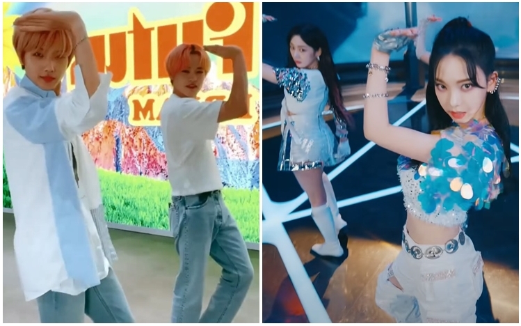 NCT Dream的志晟和辰樂跳《Next Level》有板有眼。