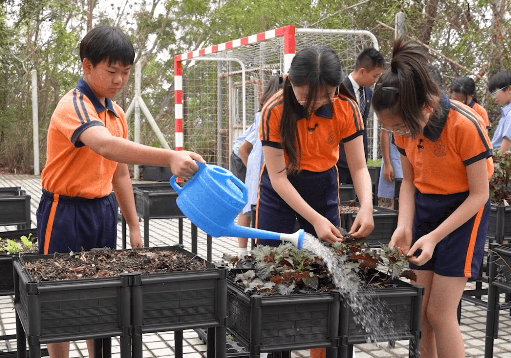 東華三院高可寧小學在校園有種植習慣。
