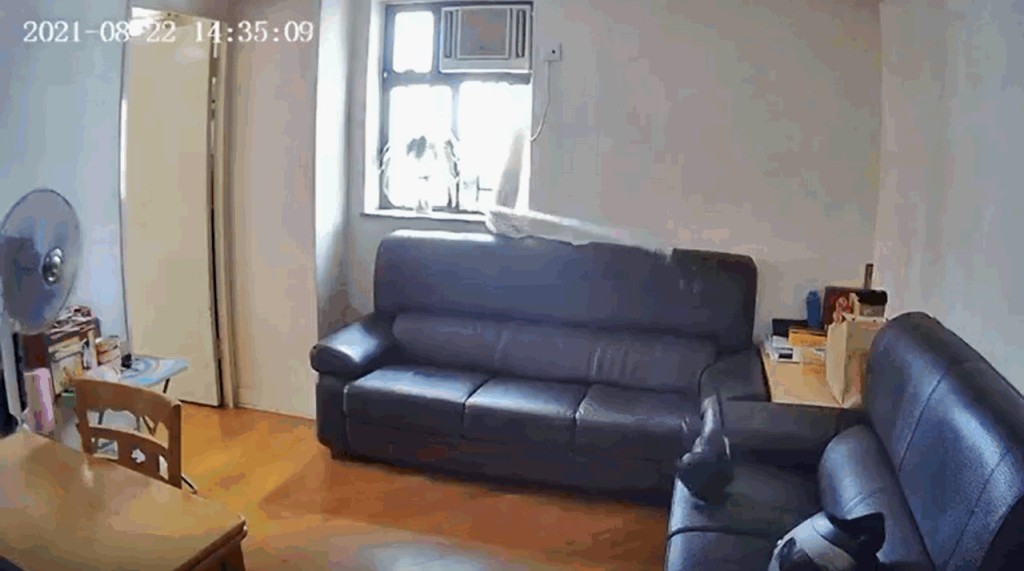 賊人勾走客廳沙發上一個手袋。