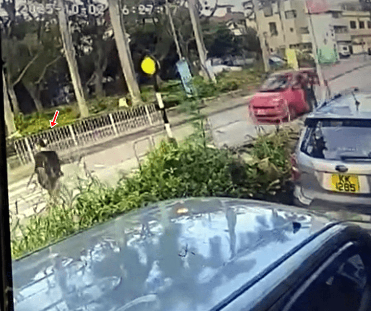一輛紅色私家車高速馳至。fb：車cam L（香港群組）
