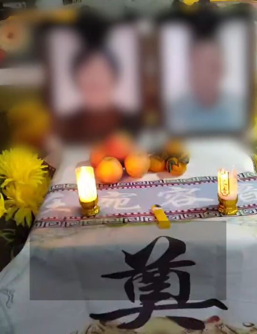 河南八旬老夫婦被虎頭蜂螫傷死亡。影片截圖