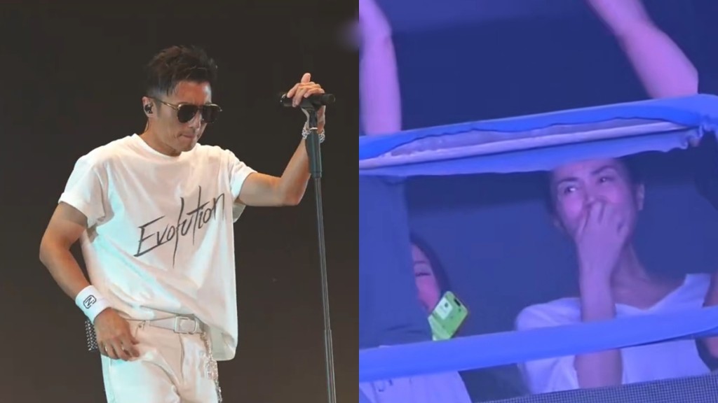 王菲现身谢霆锋鸟巢演唱会低调支持      缩友身后躲包厢甜笑影片疯传「一细节」显随性