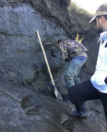 研究团队从西伯利亚永冻土中钻出泥土进行分析。 网上图片