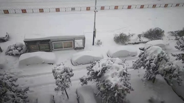 汽車被大雪完全覆蓋。（網上圖片）