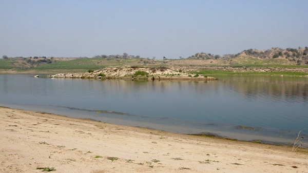 印度北方邦昌巴爾河。 WWF-India