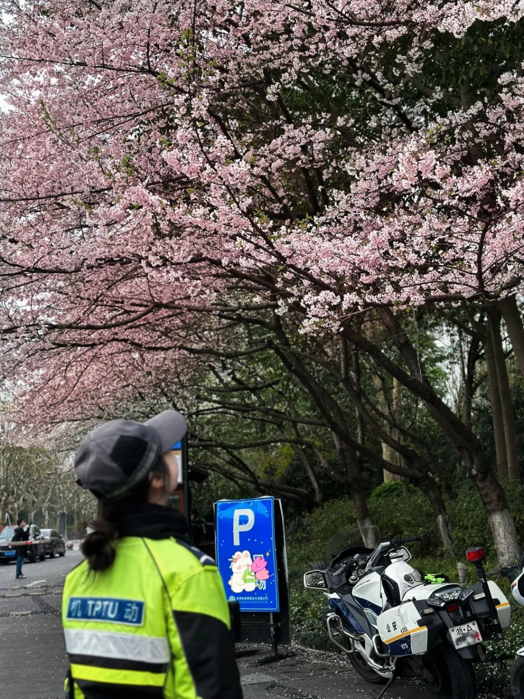 「兔子警官」李語蔚常在網上分享執勤日常。小紅書＠敵敵蔚