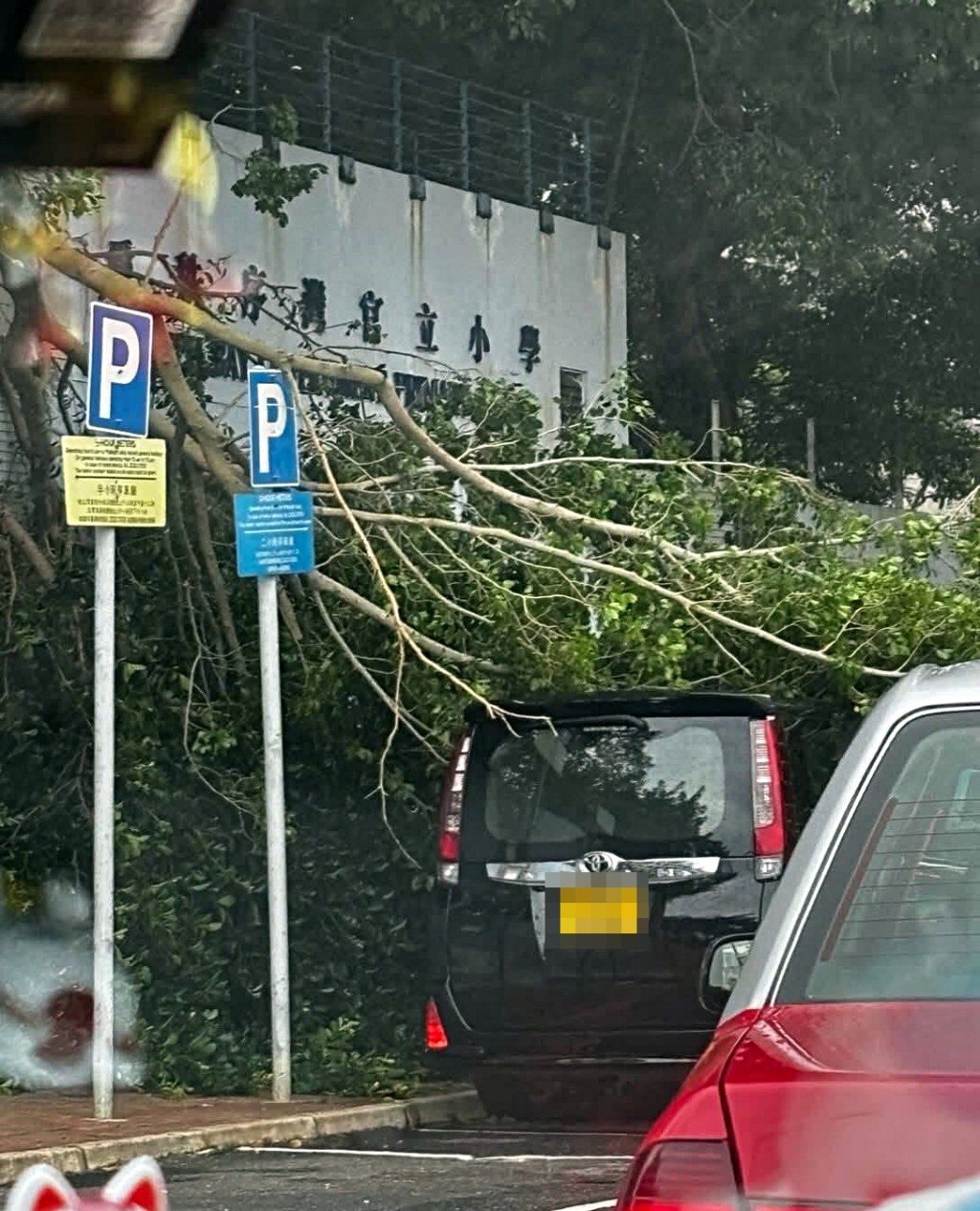大樹壓中一輛私家車。fb：筲箕灣西灣河關注組