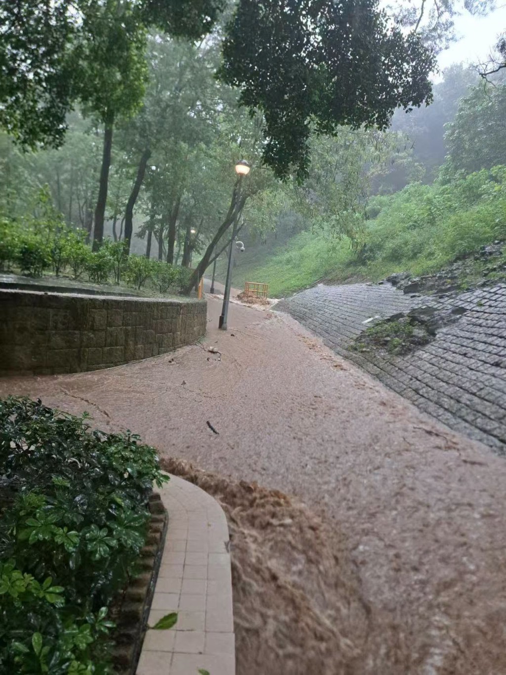 山景邨嚴重水浸。網圖 山景邨嚴重水浸。網圖