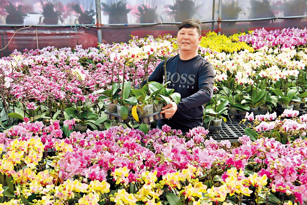 花場老闆鄭先生表示，今年疫情回暖，預計生意額會比去年有所上升。