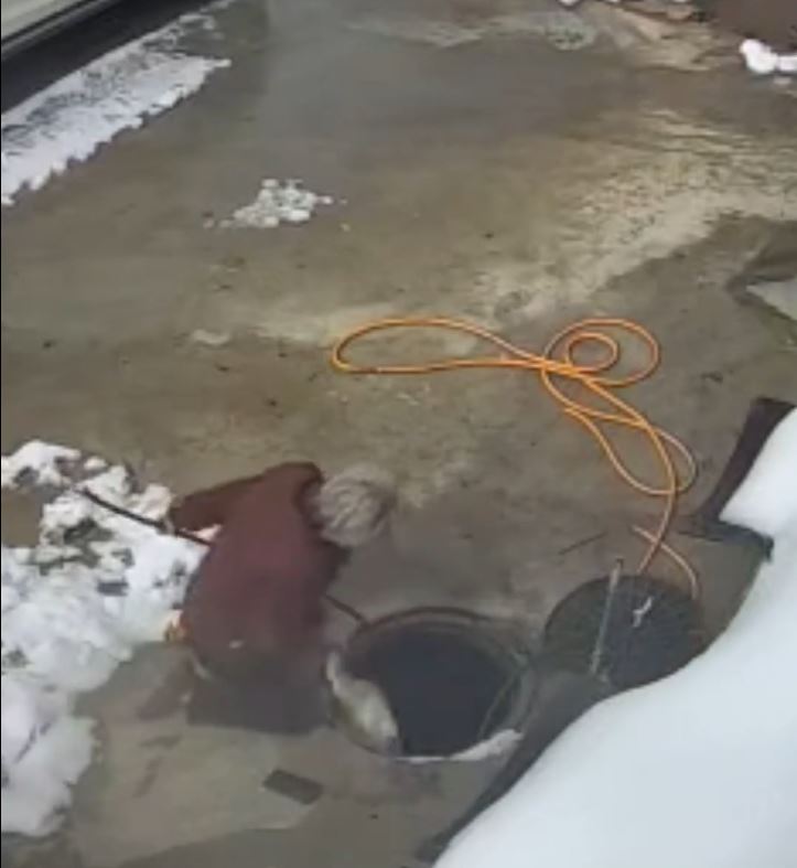 主人救回大鵝。抖音