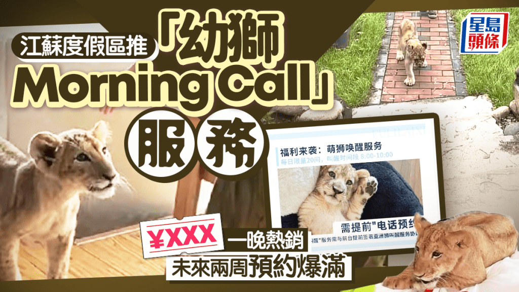 幼獅Morning Call｜江蘇度假區¥628元一晚熱銷 未來兩周預約爆滿