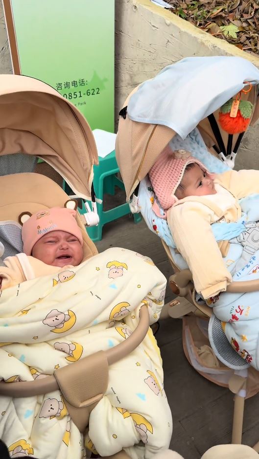 貴陽有外國夫婦為了觀光強將雙胞胎寄存給保安。抖音