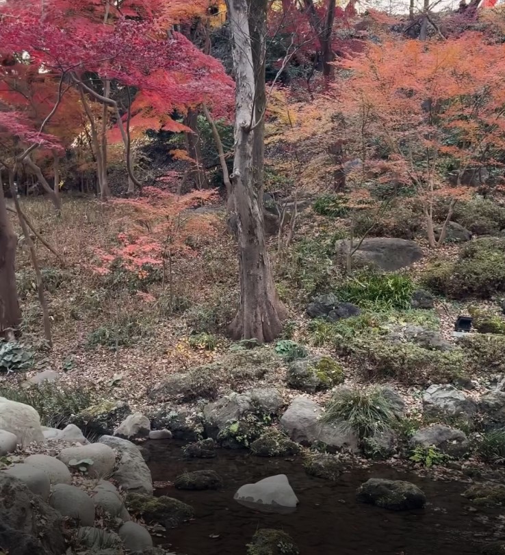 何超雲和Douglas觀賞日本靚景。