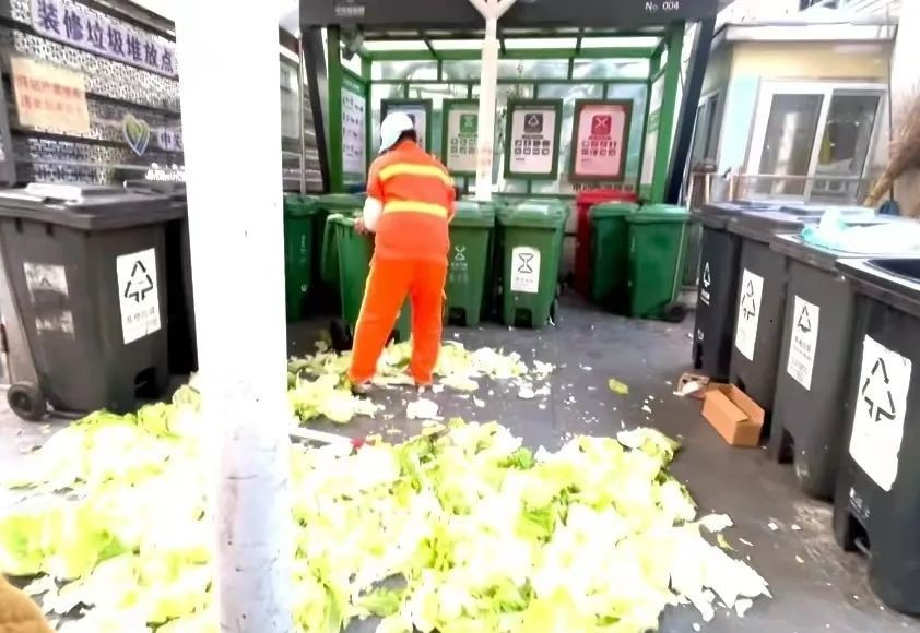 涉事清洁工将新鲜蔬菜打烂当厨馀，以达到回收指标。影片截图