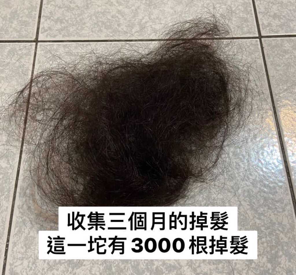 3个月过去她检起3000根头发。图「爆废公社二馆」fb
