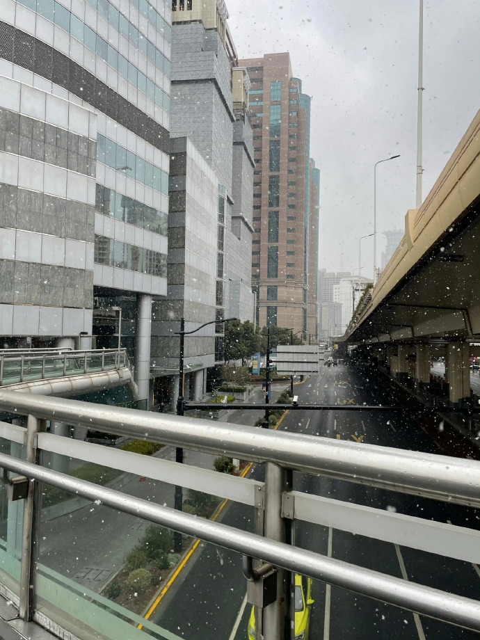 上海雪景照洗板社媒。 微博@今晚偷亲我嘛