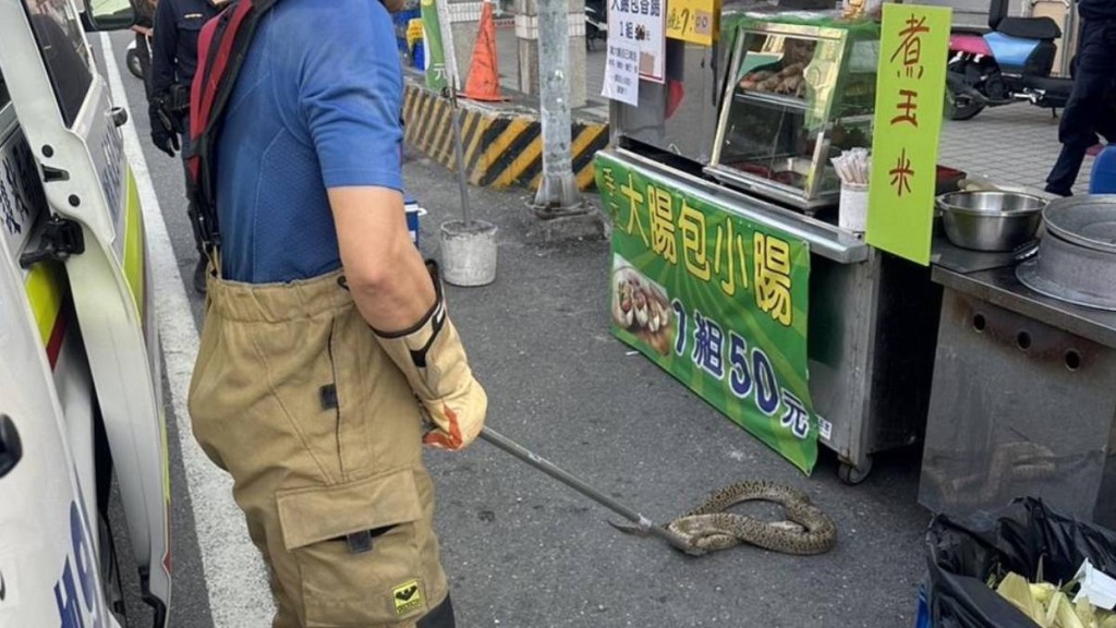 屏東有男子帶寵物蟒蛇出街時，被纏頸致暈倒撞地跌穿頭。中時