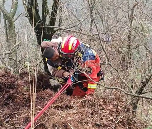 江西有男童因逗玩幼猴，被母猴拉落10米悬崖。